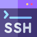 File sharing on SSH