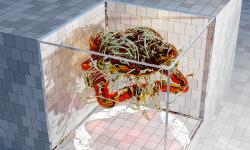 Featured image of post DNDSR